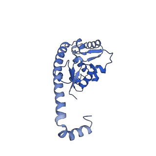 29269_8fl7_L7_v1-2
Human nuclear pre-60S ribosomal subunit (State J2)