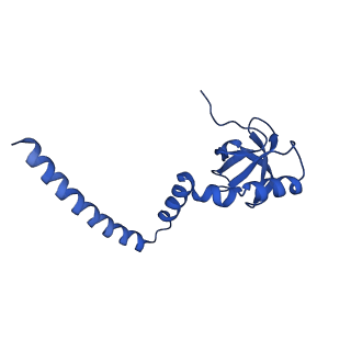 29269_8fl7_L8_v1-2
Human nuclear pre-60S ribosomal subunit (State J2)