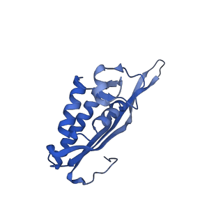 29269_8fl7_LA_v1-2
Human nuclear pre-60S ribosomal subunit (State J2)