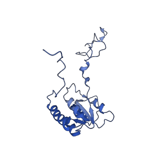 29269_8fl7_LB_v1-2
Human nuclear pre-60S ribosomal subunit (State J2)