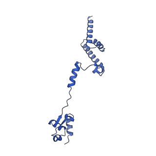 29269_8fl7_LD_v1-2
Human nuclear pre-60S ribosomal subunit (State J2)