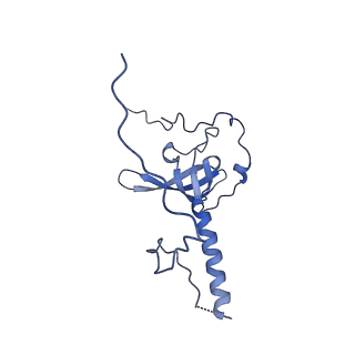 29269_8fl7_LE_v1-2
Human nuclear pre-60S ribosomal subunit (State J2)