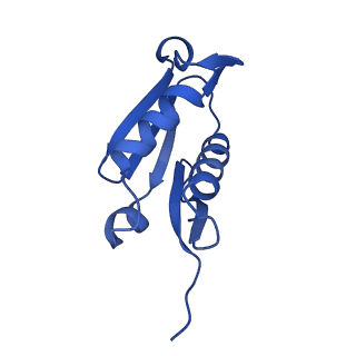 29269_8fl7_LF_v1-2
Human nuclear pre-60S ribosomal subunit (State J2)