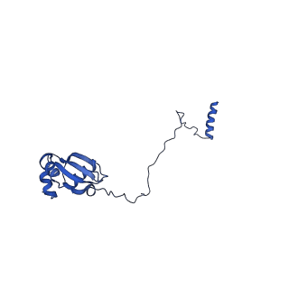 29269_8fl7_LH_v1-2
Human nuclear pre-60S ribosomal subunit (State J2)