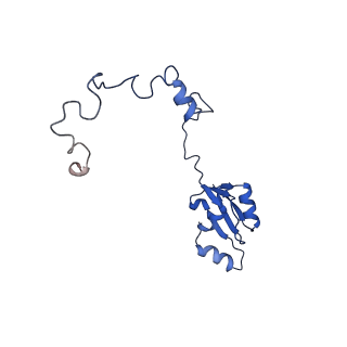29269_8fl7_LK_v1-2
Human nuclear pre-60S ribosomal subunit (State J2)