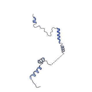 29269_8fl7_LM_v1-2
Human nuclear pre-60S ribosomal subunit (State J2)
