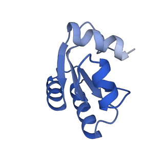 29269_8fl7_LO_v1-2
Human nuclear pre-60S ribosomal subunit (State J2)