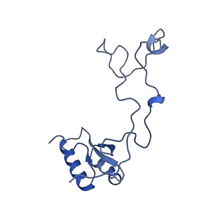 29269_8fl7_LQ_v1-2
Human nuclear pre-60S ribosomal subunit (State J2)