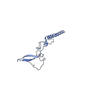 29269_8fl7_LR_v1-2
Human nuclear pre-60S ribosomal subunit (State J2)