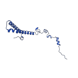 29269_8fl7_LS_v1-2
Human nuclear pre-60S ribosomal subunit (State J2)
