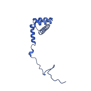 29269_8fl7_LU_v1-2
Human nuclear pre-60S ribosomal subunit (State J2)