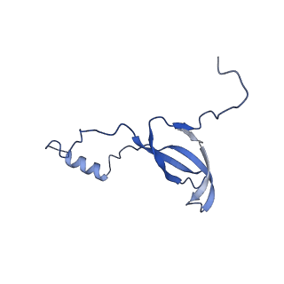 29269_8fl7_LV_v1-2
Human nuclear pre-60S ribosomal subunit (State J2)
