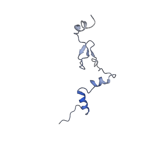 29269_8fl7_LW_v1-2
Human nuclear pre-60S ribosomal subunit (State J2)