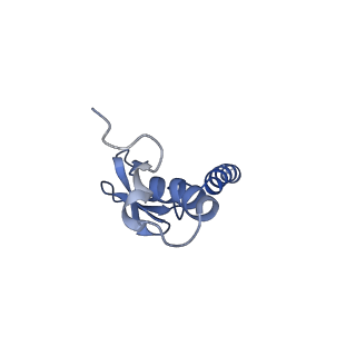 29269_8fl7_LX_v1-2
Human nuclear pre-60S ribosomal subunit (State J2)