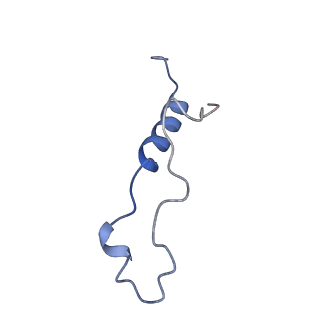 29269_8fl7_LZ_v1-2
Human nuclear pre-60S ribosomal subunit (State J2)