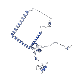 29269_8fl7_NL_v1-2
Human nuclear pre-60S ribosomal subunit (State J2)
