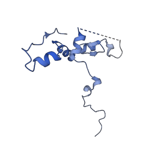 29269_8fl7_NP_v1-2
Human nuclear pre-60S ribosomal subunit (State J2)