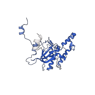 29269_8fl7_SB_v1-2
Human nuclear pre-60S ribosomal subunit (State J2)