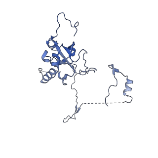 29269_8fl7_SC_v1-2
Human nuclear pre-60S ribosomal subunit (State J2)