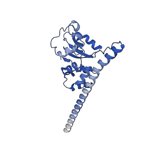 29269_8fl7_SD_v1-2
Human nuclear pre-60S ribosomal subunit (State J2)