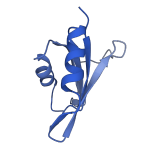 29269_8fl7_SH_v1-2
Human nuclear pre-60S ribosomal subunit (State J2)