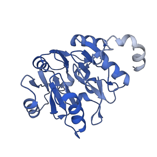 29269_8fl7_SK_v1-2
Human nuclear pre-60S ribosomal subunit (State J2)