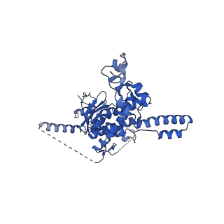 29269_8fl7_SM_v1-2
Human nuclear pre-60S ribosomal subunit (State J2)
