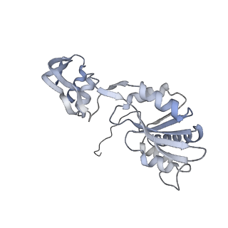 29269_8fl7_SQ_v1-2
Human nuclear pre-60S ribosomal subunit (State J2)