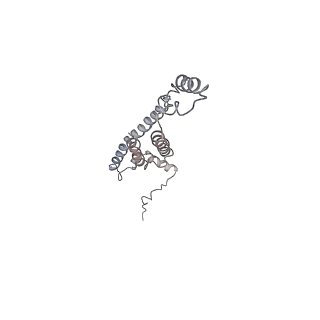 29270_8fl8_7_v1-0
Yeast ATP Synthase structure in presence of MgATP
