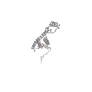 29270_8fl8_7_v1-2
Yeast ATP Synthase structure in presence of MgATP