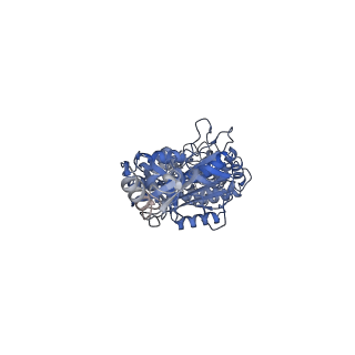 29270_8fl8_A_v1-0
Yeast ATP Synthase structure in presence of MgATP