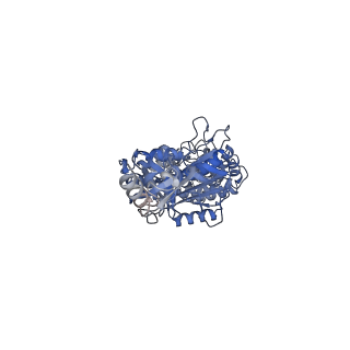 29270_8fl8_A_v1-2
Yeast ATP Synthase structure in presence of MgATP