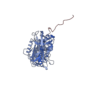 29270_8fl8_C_v1-0
Yeast ATP Synthase structure in presence of MgATP