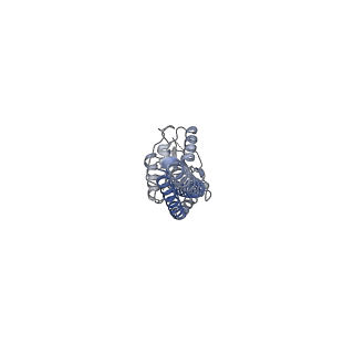 29270_8fl8_G_v1-0
Yeast ATP Synthase structure in presence of MgATP