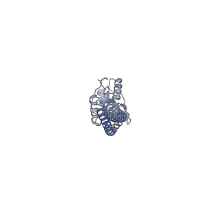 29270_8fl8_G_v1-2
Yeast ATP Synthase structure in presence of MgATP