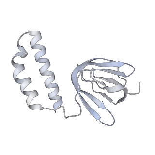 29270_8fl8_H_v1-2
Yeast ATP Synthase structure in presence of MgATP