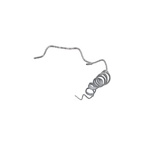 29270_8fl8_J_v1-2
Yeast ATP Synthase structure in presence of MgATP