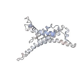 29270_8fl8_X_v1-0
Yeast ATP Synthase structure in presence of MgATP
