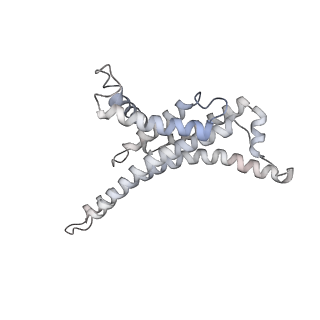 29270_8fl8_X_v1-2
Yeast ATP Synthase structure in presence of MgATP