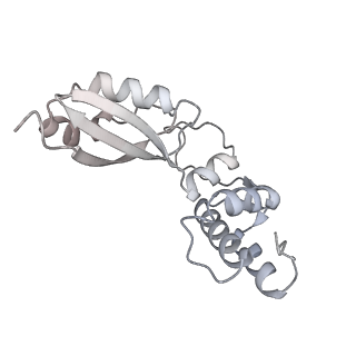 29271_8fl9_BA_v1-2
Human nuclear pre-60S ribosomal subunit (State J3)