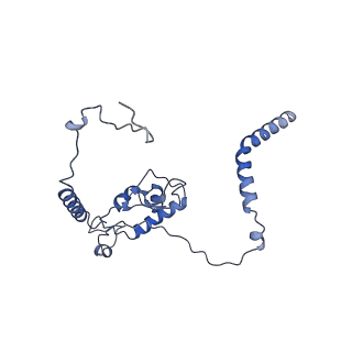 29271_8fl9_L6_v1-2
Human nuclear pre-60S ribosomal subunit (State J3)