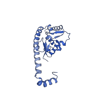 29271_8fl9_L7_v1-2
Human nuclear pre-60S ribosomal subunit (State J3)