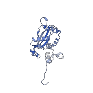 29271_8fl9_L9_v1-2
Human nuclear pre-60S ribosomal subunit (State J3)