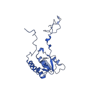 29271_8fl9_LB_v1-2
Human nuclear pre-60S ribosomal subunit (State J3)