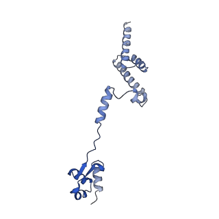 29271_8fl9_LD_v1-2
Human nuclear pre-60S ribosomal subunit (State J3)