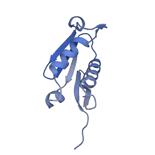 29271_8fl9_LF_v1-2
Human nuclear pre-60S ribosomal subunit (State J3)