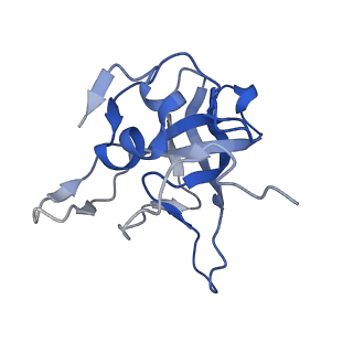 29271_8fl9_LG_v1-2
Human nuclear pre-60S ribosomal subunit (State J3)