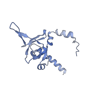 29271_8fl9_LI_v1-2
Human nuclear pre-60S ribosomal subunit (State J3)