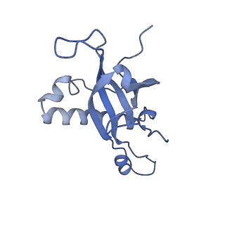 29271_8fl9_LJ_v1-2
Human nuclear pre-60S ribosomal subunit (State J3)