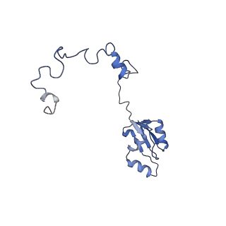 29271_8fl9_LK_v1-2
Human nuclear pre-60S ribosomal subunit (State J3)